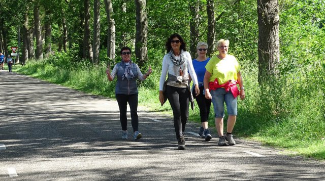 Singels en Essen wandeltocht (zondag  9 juni 2019)